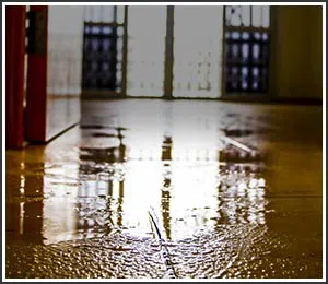 Hollywood Restoration Company Hollywood, FL 954-406-9821