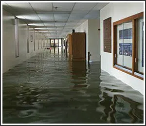 Hollywood Restoration Company Hollywood, FL 954-406-9821 - home