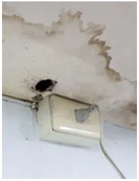 Hollywood Restoration Company Hollywood, FL 954-406-9821 - sb-01