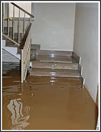 Hollywood Restoration Company Hollywood, FL 954-406-9821 - sb-02