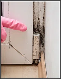Hollywood Restoration Company Hollywood, FL 954-406-9821 Hollywood Restoration Company Hollywood, FL 954-406-9821 - sb-03